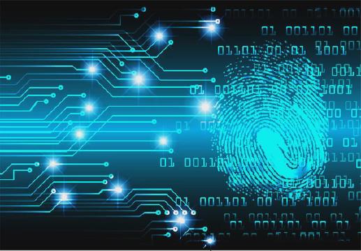 What is the SHA-256 Fingerprint?