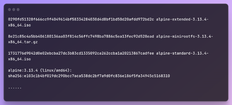 All the Alpine 3.13.4 sha256 Hashes You Need
