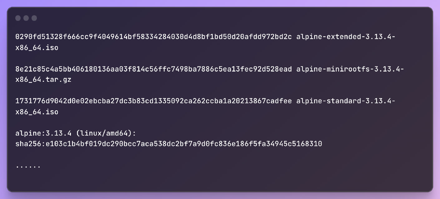 您所需的Alpine 3.13.4 sha256哈希值一览