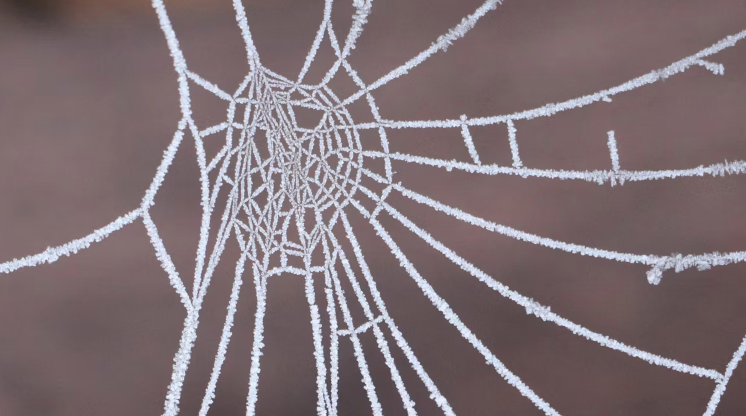 MongoDB集合命名规范的必备技巧